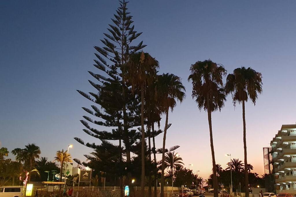 Tamaran 102 - Los Campos - Lux Garden Apt Near Dunes, Quiet-Central-Renovated San Bartolomé 外观 照片